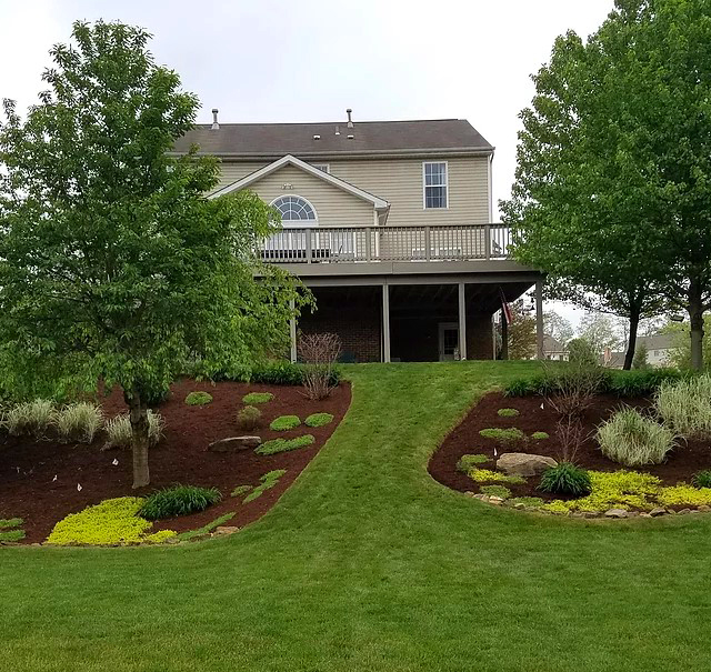 The Leaf Clean Up Pros