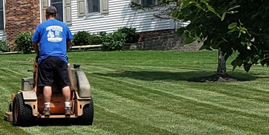 The Leaf Clean Up Pros